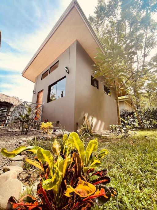 Casa Noil, Beautiful Eco House Near The Beach! Lejlighed Puerto Viejo de Talamanca Eksteriør billede