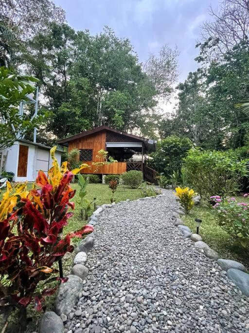 Casa Noil, Beautiful Eco House Near The Beach! Lejlighed Puerto Viejo de Talamanca Eksteriør billede