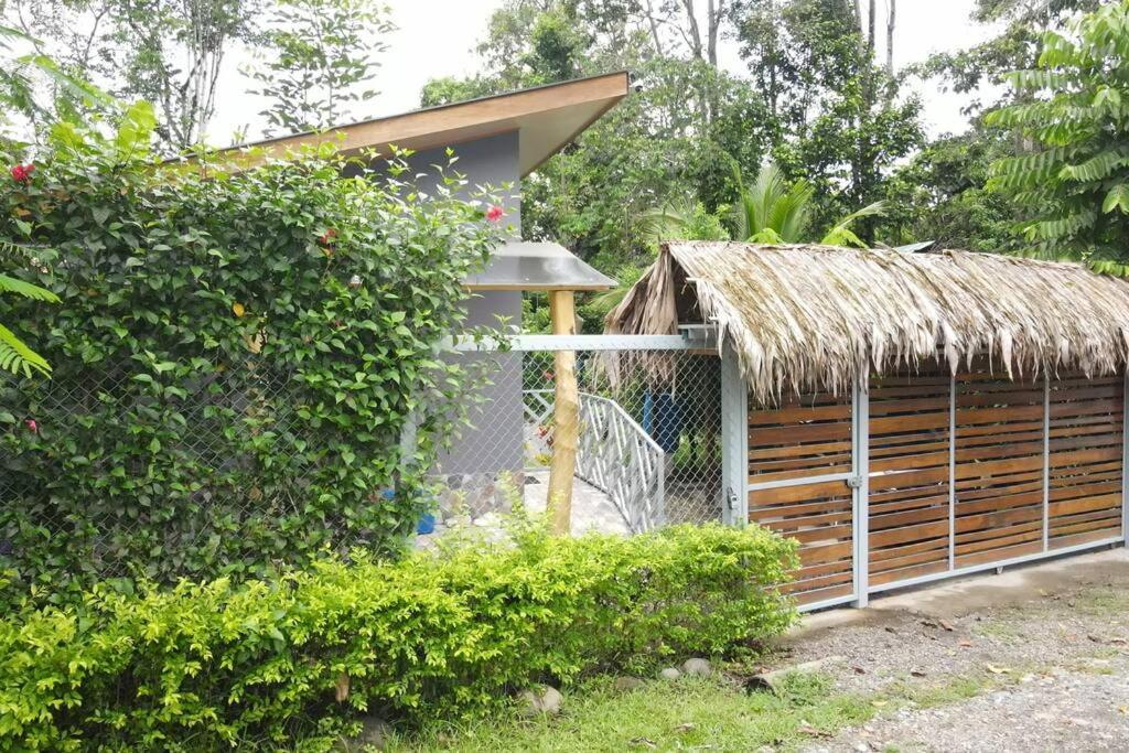Casa Noil, Beautiful Eco House Near The Beach! Lejlighed Puerto Viejo de Talamanca Eksteriør billede
